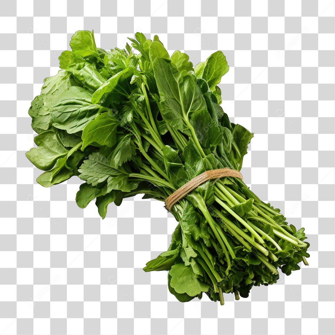 Alimento Folhas Vegetais PNG Transparente