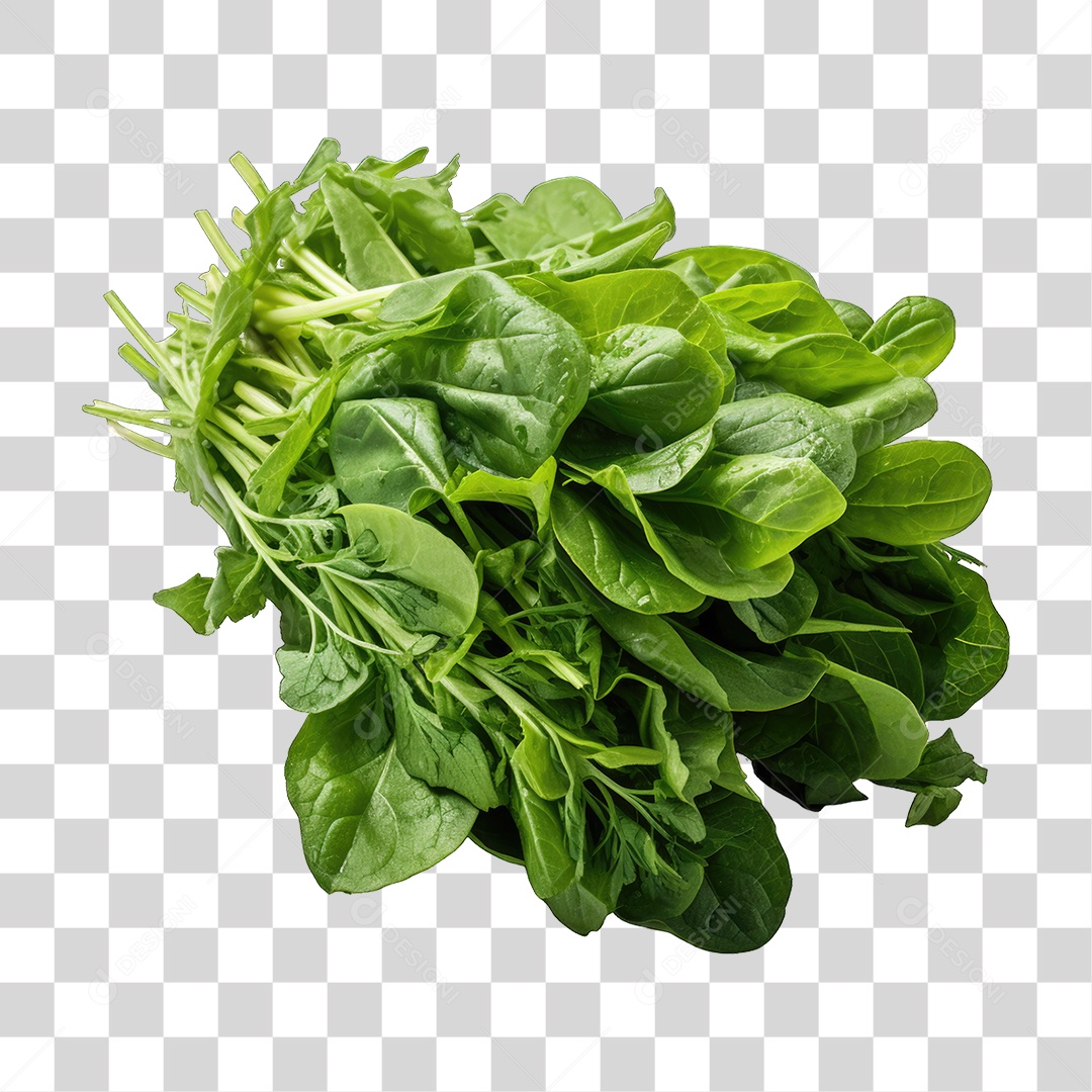 Alimento Folhas Vegetais PNG Transparente