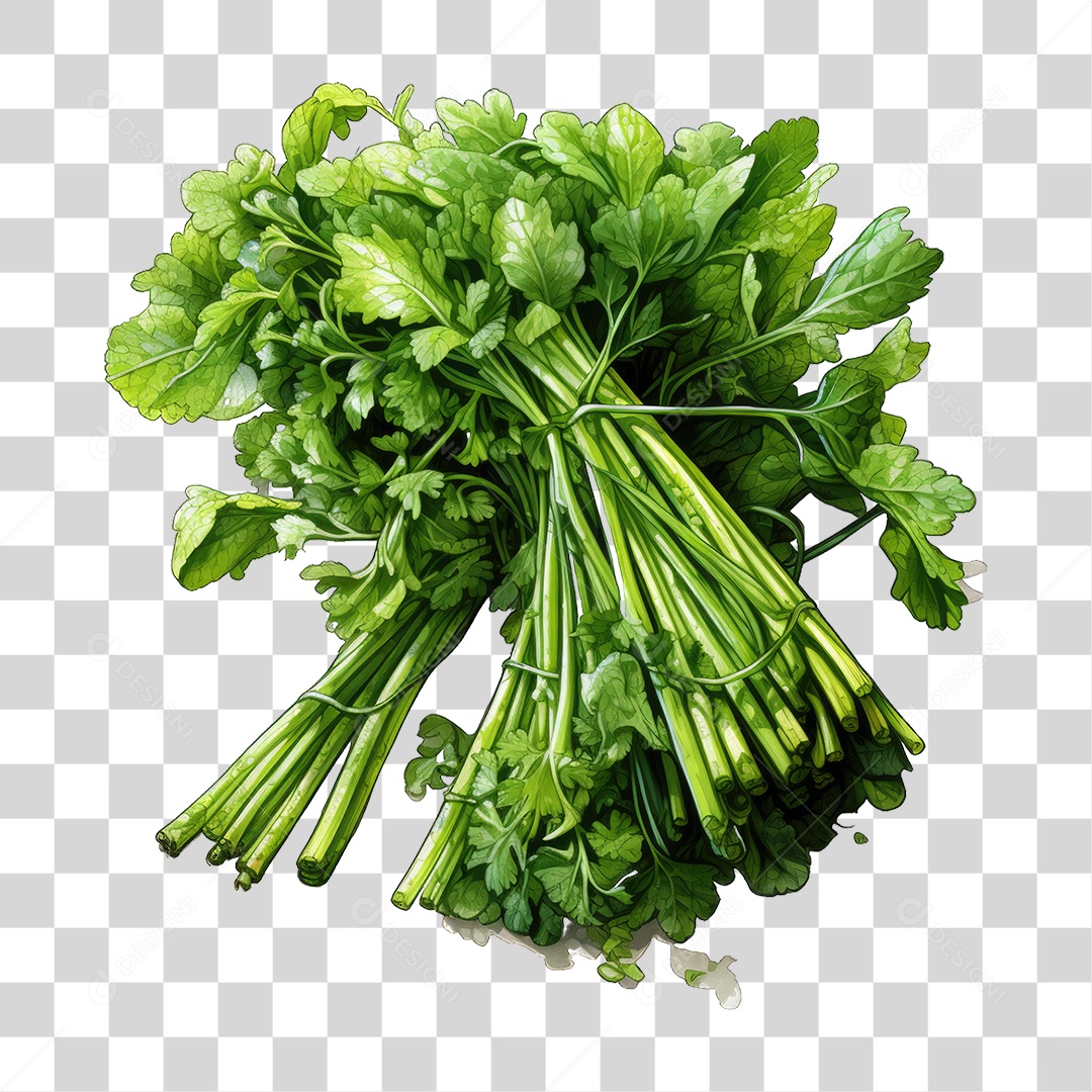 Alimento Folhas Vegetais PNG Transparente