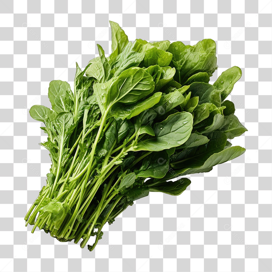 Alimento Folhas Vegetais PNG Transparente