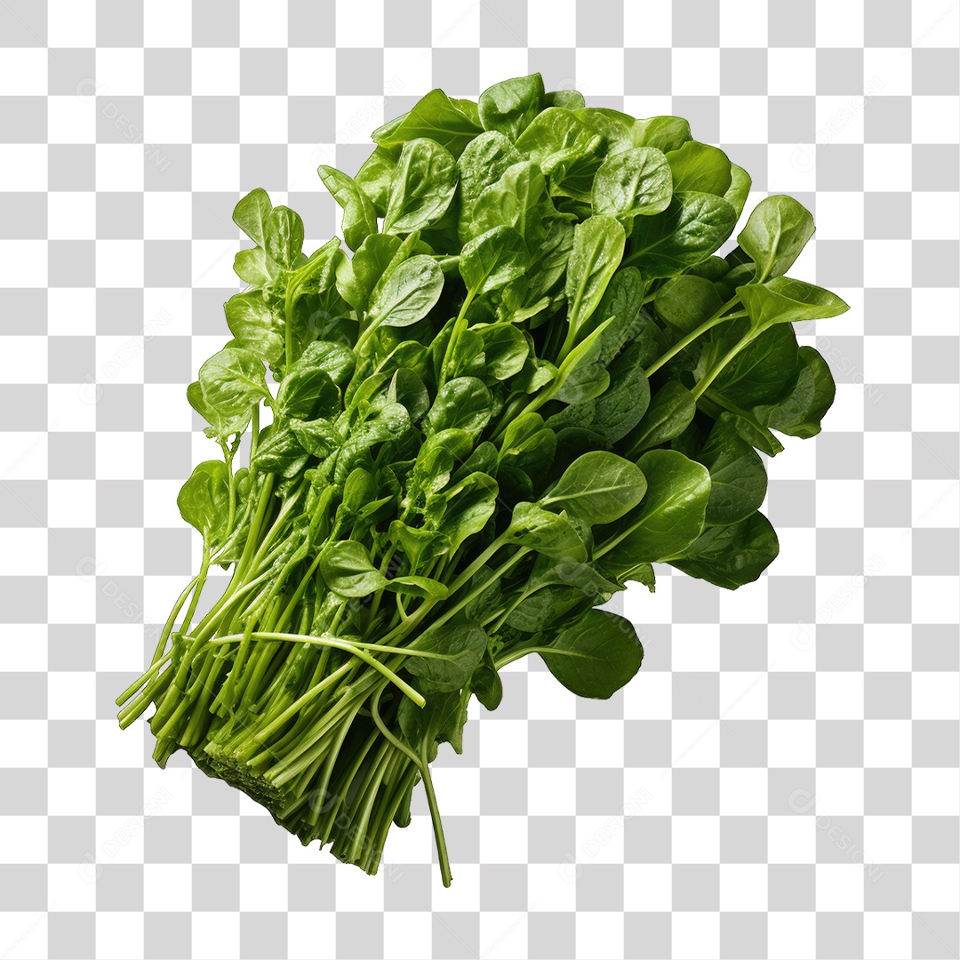 Alimento Folhas Vegetais PNG Transparente