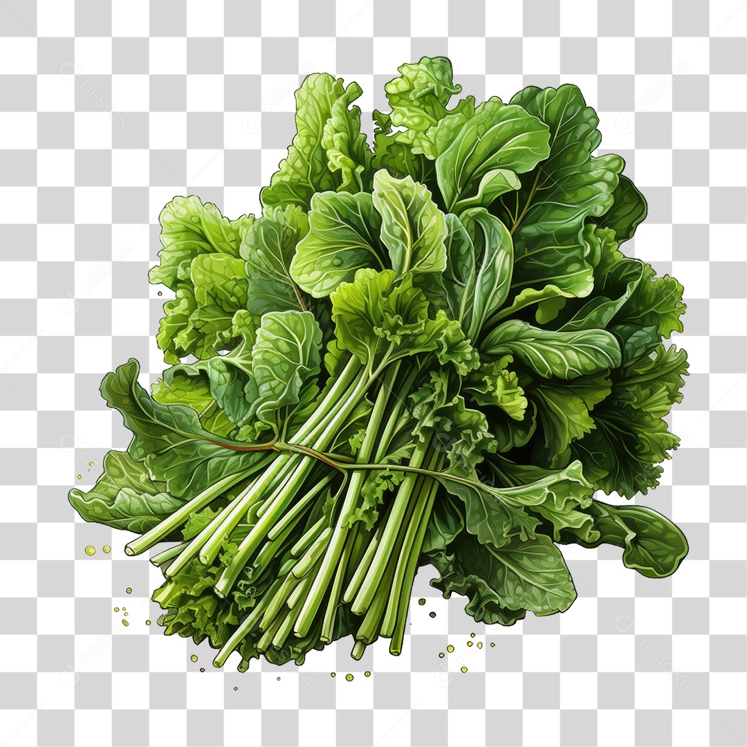Alimento Folhas Vegetais PNG Transparente