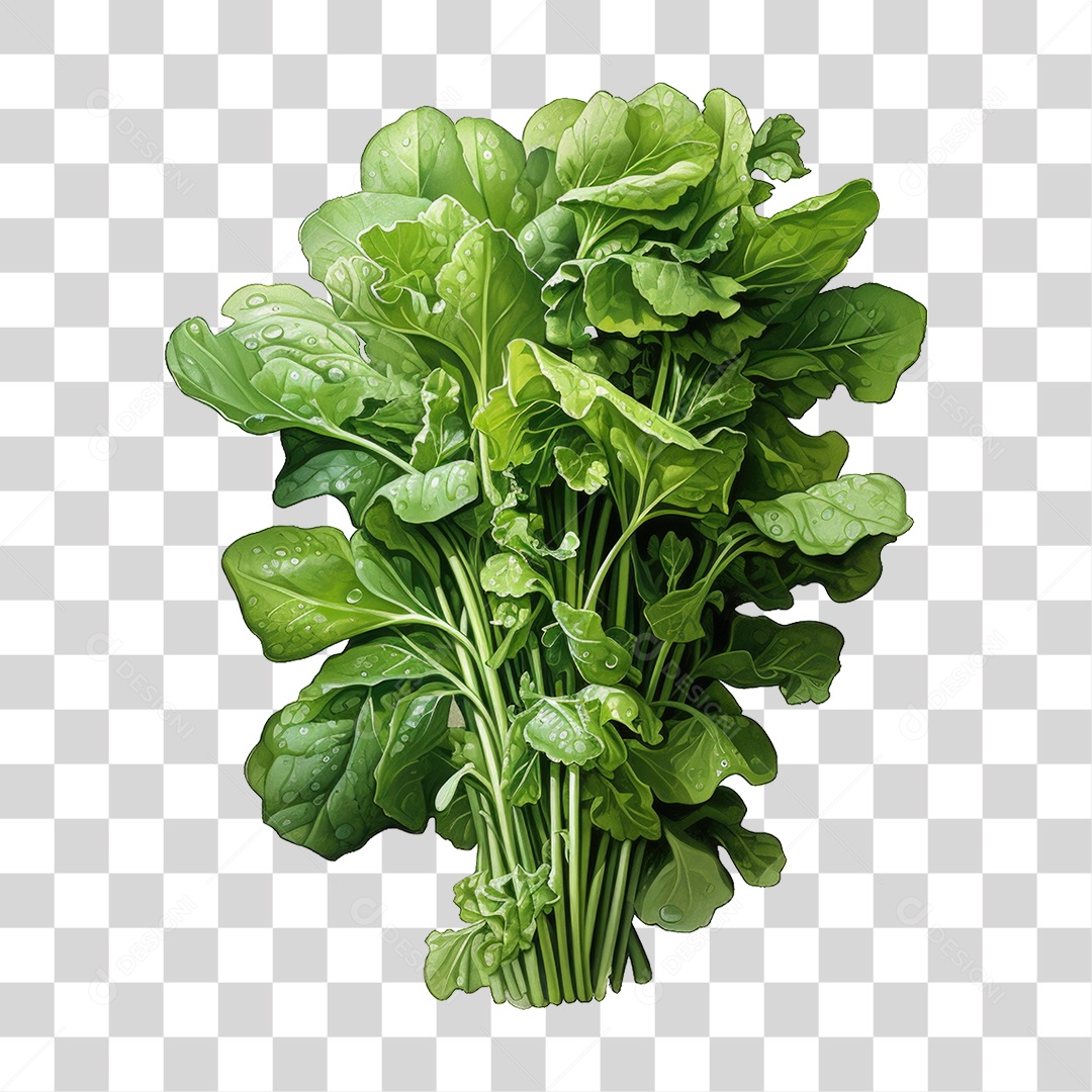 Alimento Folhas Vegetais PNG Transparente