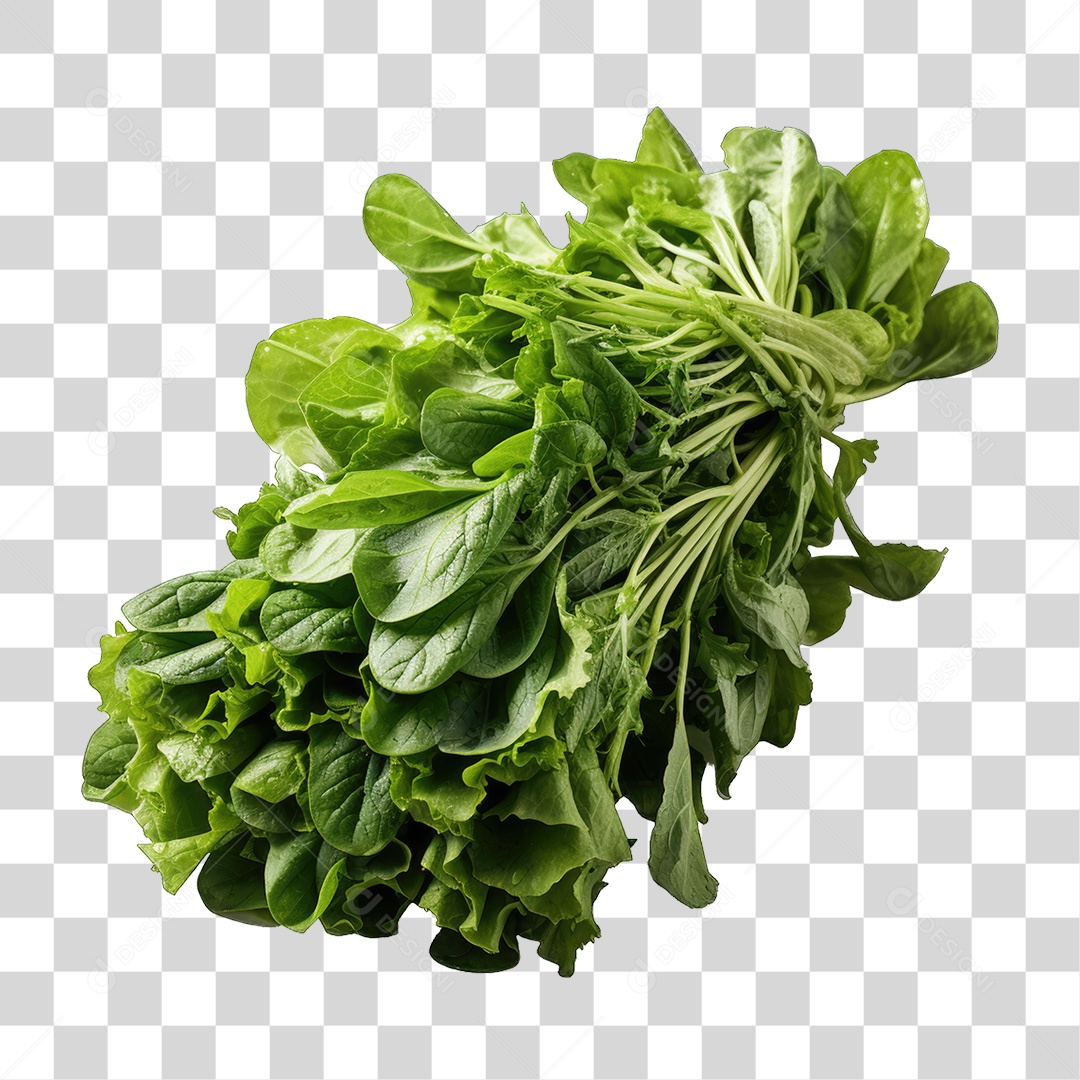 Alimento Folhas Vegetais PNG Transparente