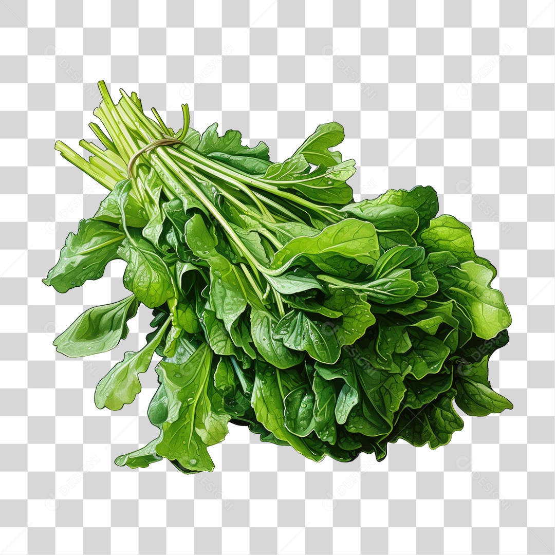 Alimento Folhas Vegetais PNG Transparente