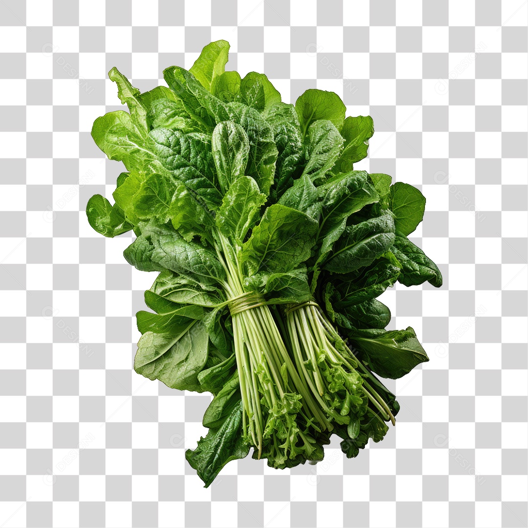 Alimento Folhas Vegetais PNG Transparente