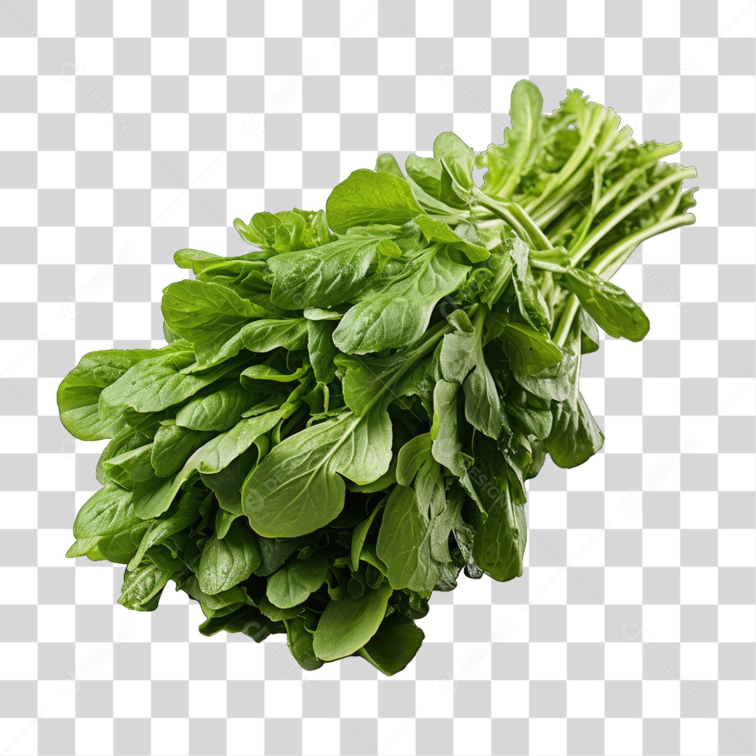 Alimento Folhas Vegetais PNG Transparente