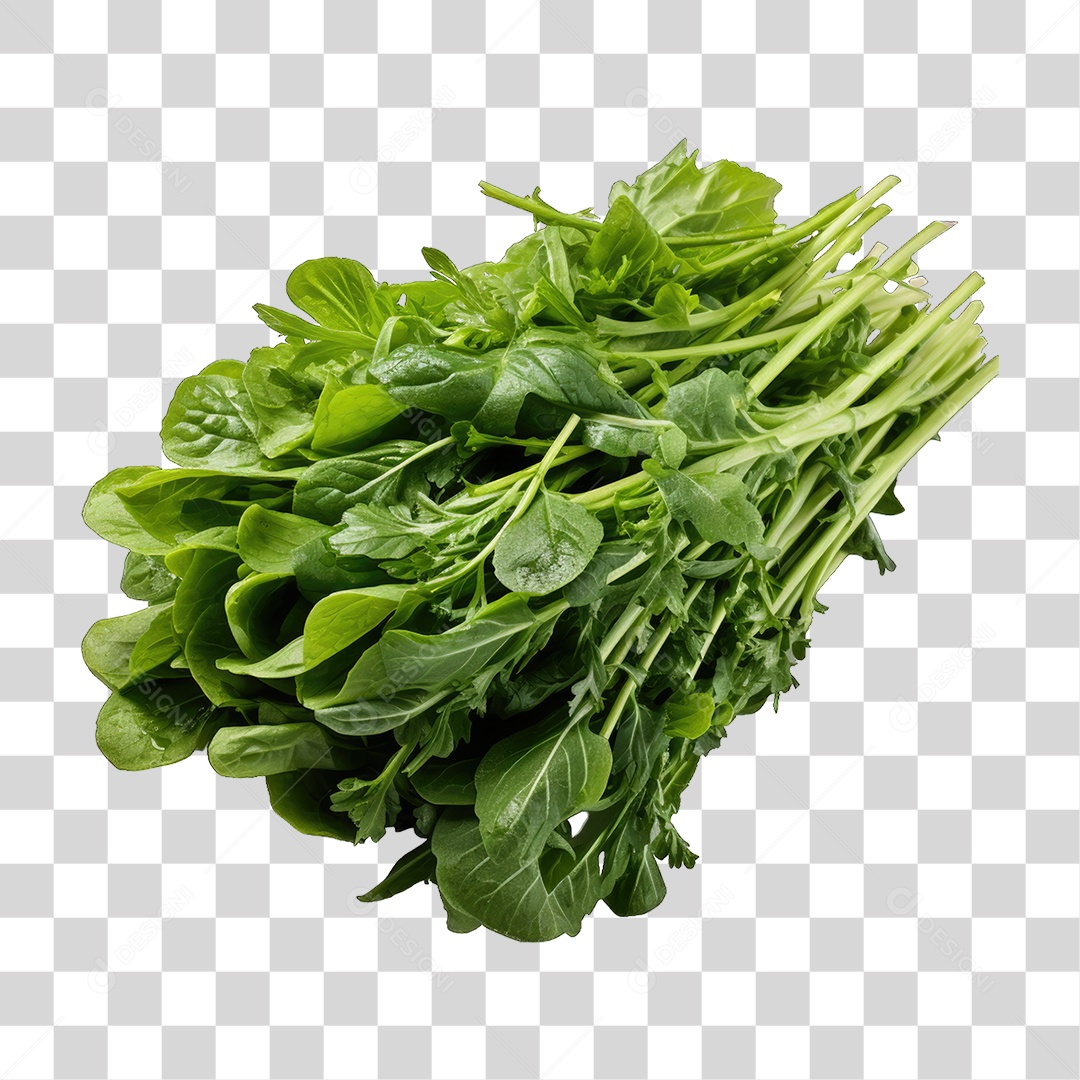 Alimento Folhas Vegetais PNG Transparente