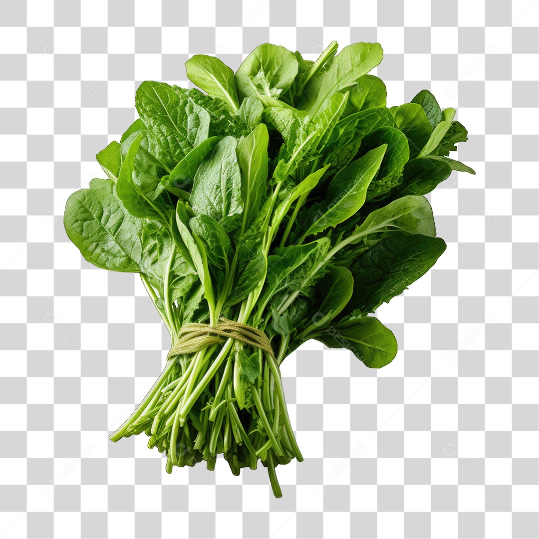 Alimento Folhas Vegetais PNG Transparente