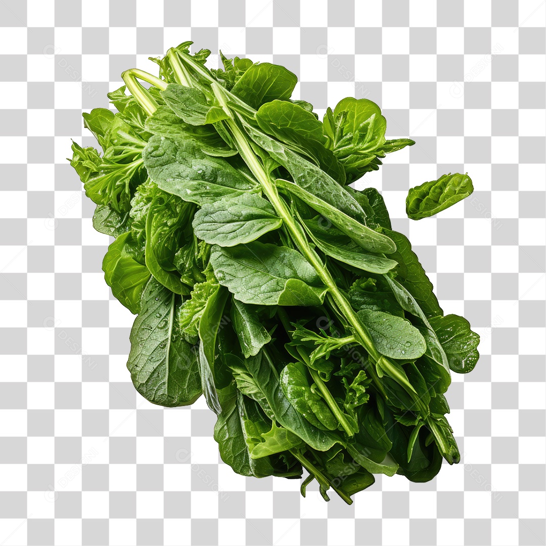 Alimento Folhas Vegetais PNG Transparente