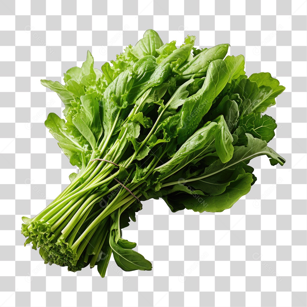 Alimento Folhas Vegetais PNG Transparente