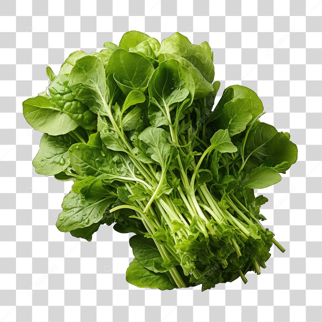 Alimento Folhas Vegetais PNG Transparente