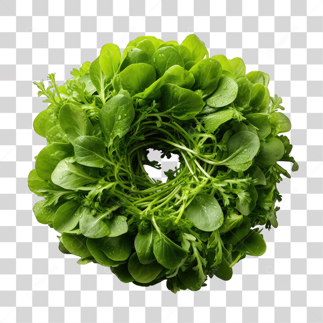 Alimento Folhas Vegetais PNG Transparente