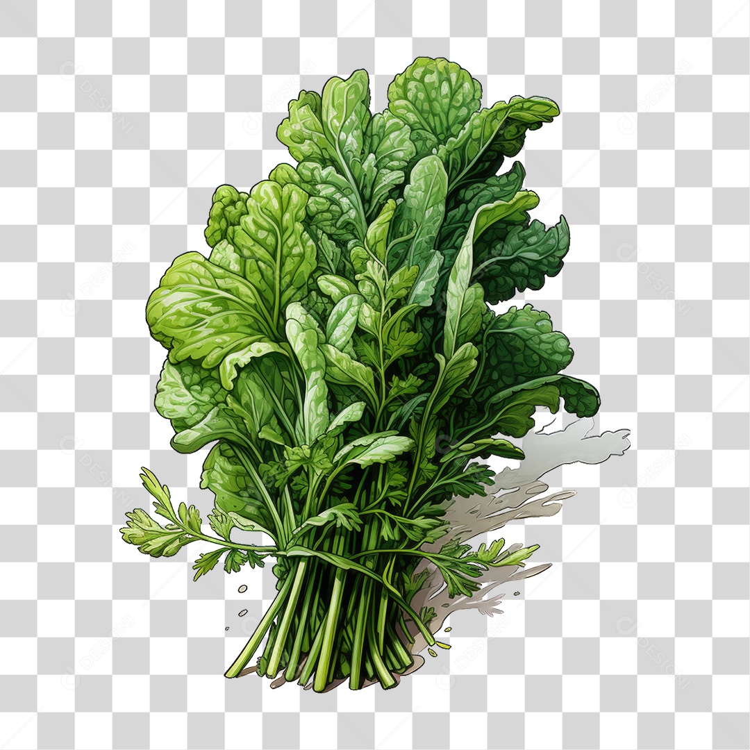 Alimento Folhas Vegetais PNG Transparente