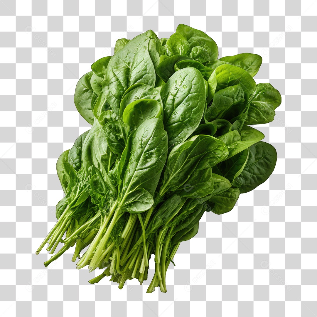 Alimento Folhas Vegetais PNG Transparente