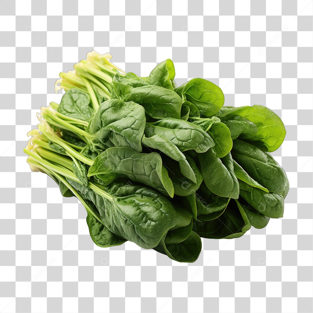 Alimento Folhas Vegetais PNG Transparente