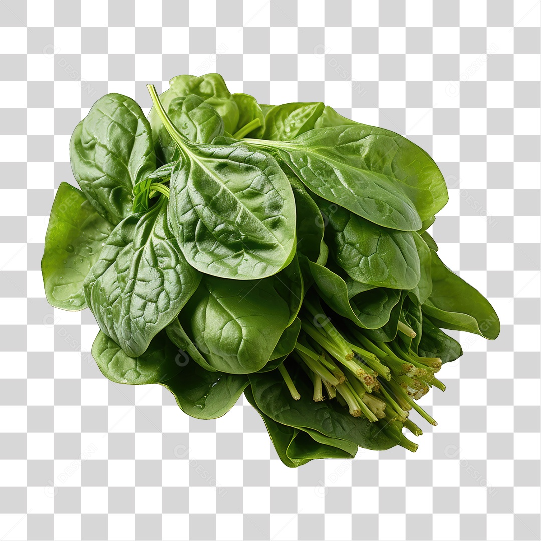 Alimento Folhas Vegetais PNG Transparente