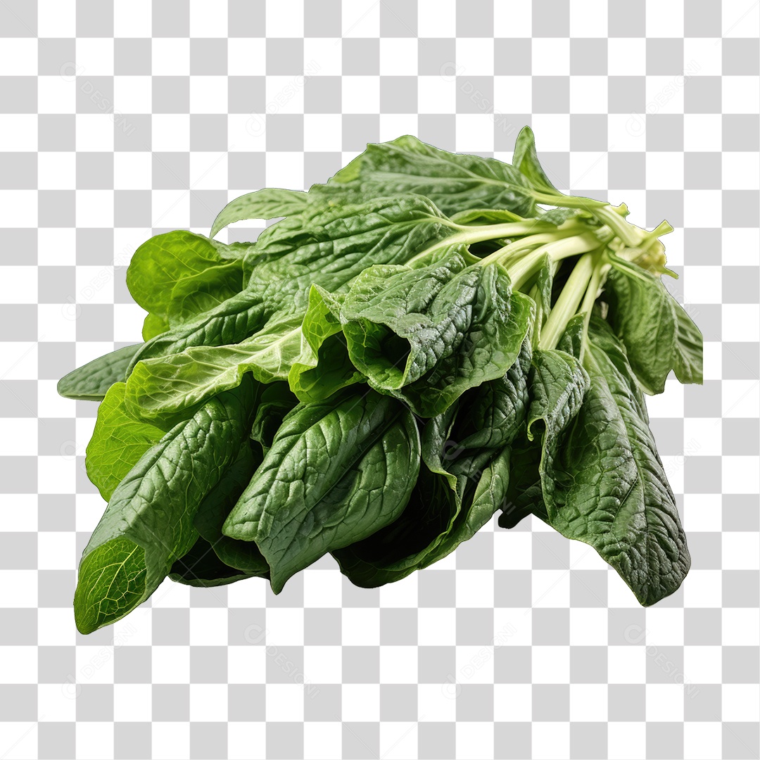 Alimento Folhas Vegetais PNG Transparente