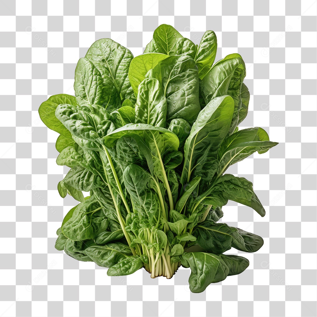 Alimento Folhas Vegetais PNG Transparente
