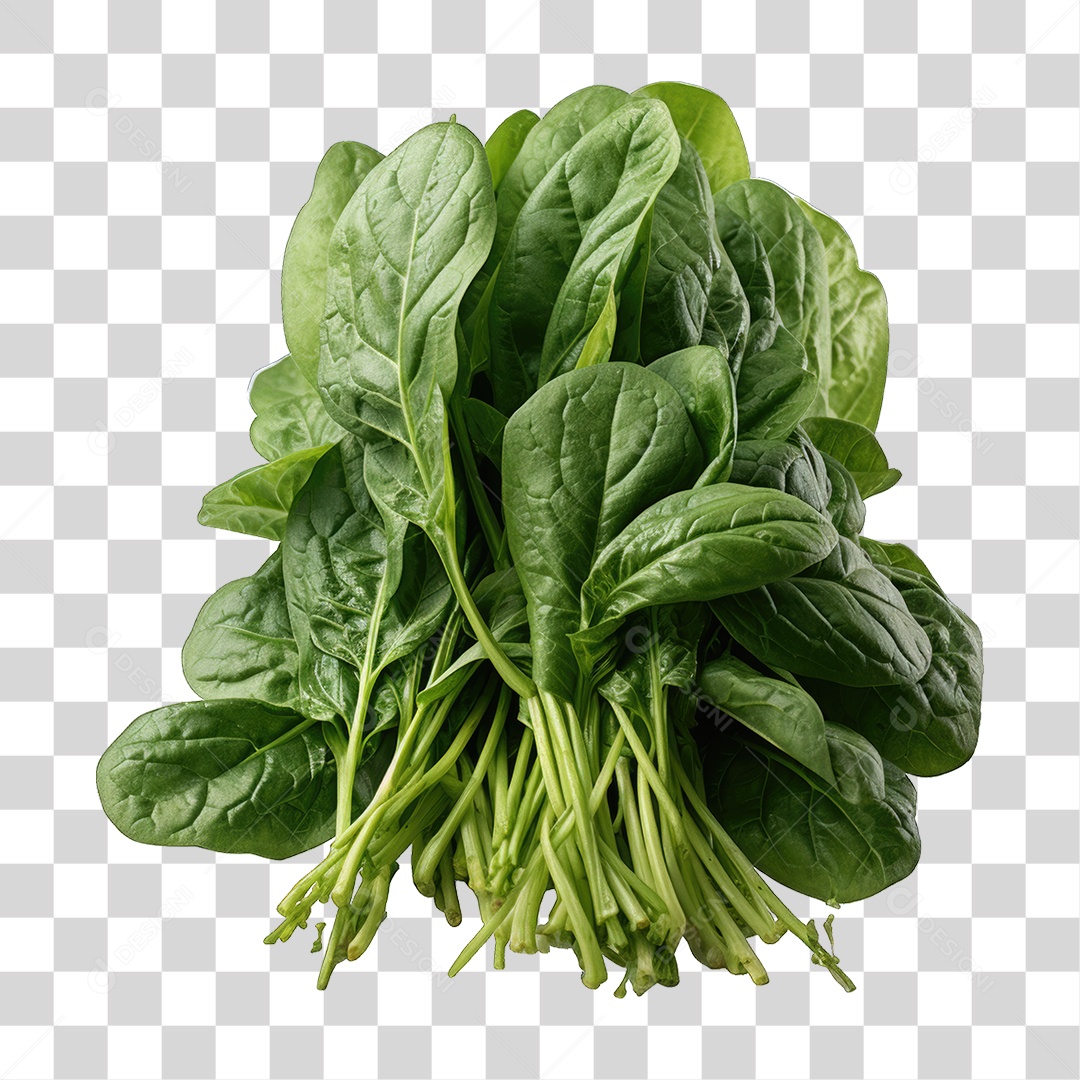 Alimento Folhas Vegetais PNG Transparente