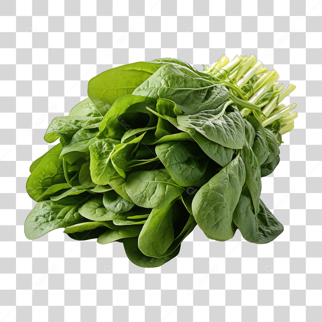 Alimento Folhas Vegetais PNG Transparente
