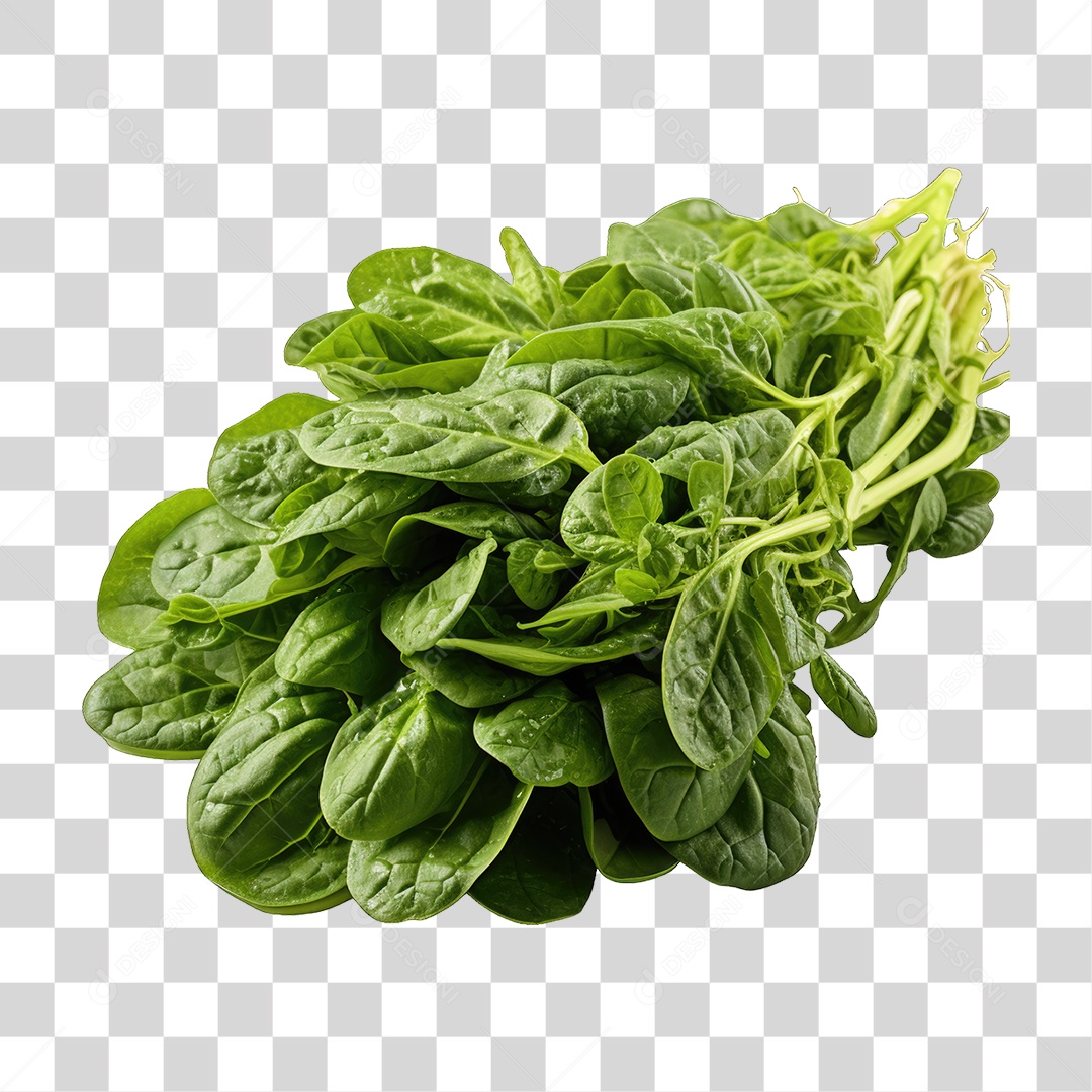 Alimento Folhas Vegetais PNG Transparente