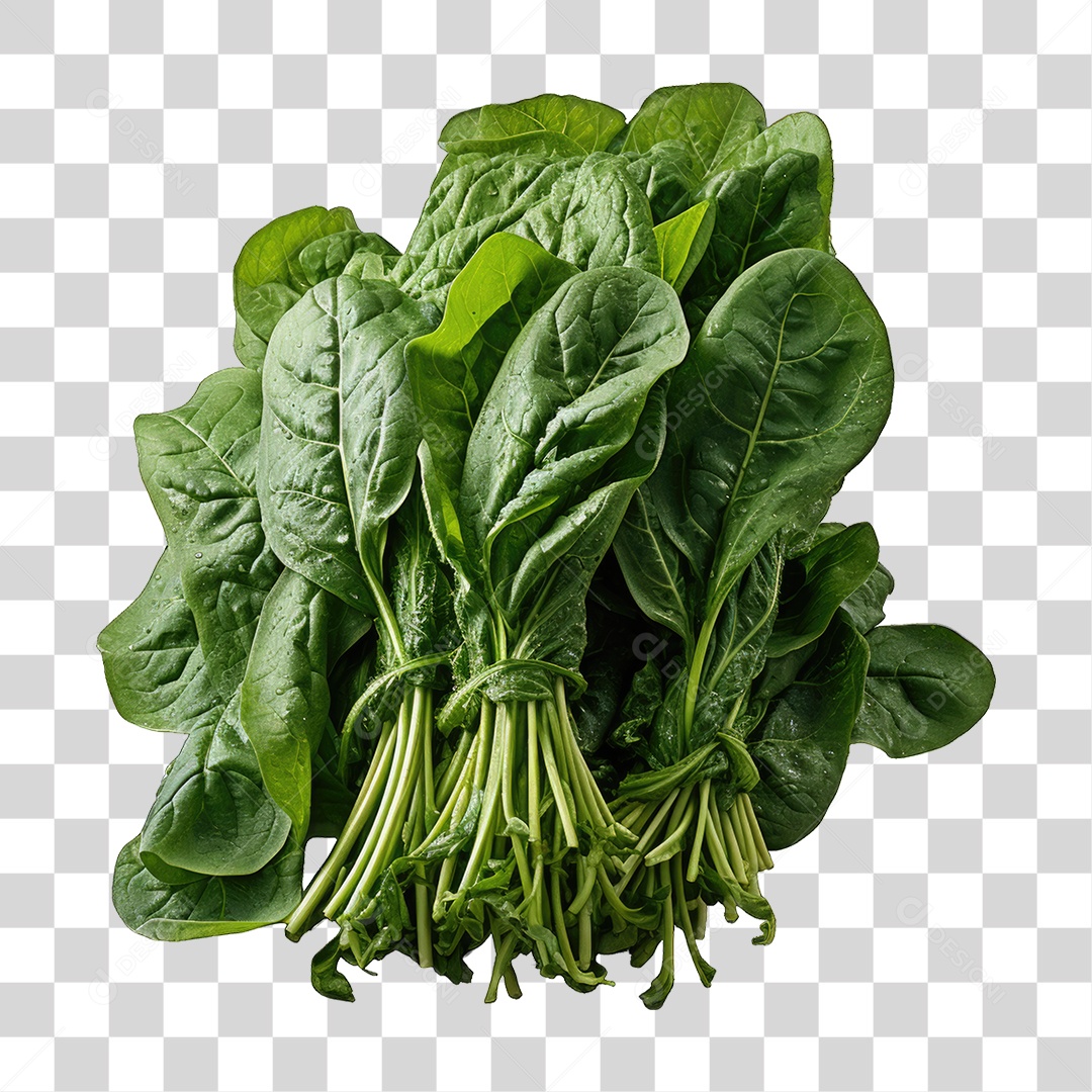 Alimento Folhas Vegetais PNG Transparente