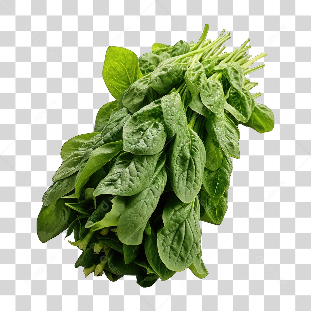 Alimento Folhas Vegetais PNG Transparente