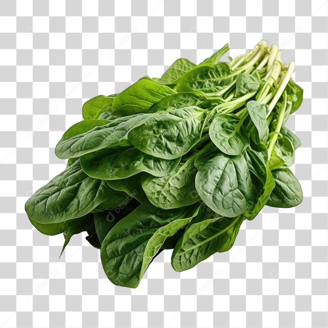 Alimento Folhas Vegetais PNG Transparente