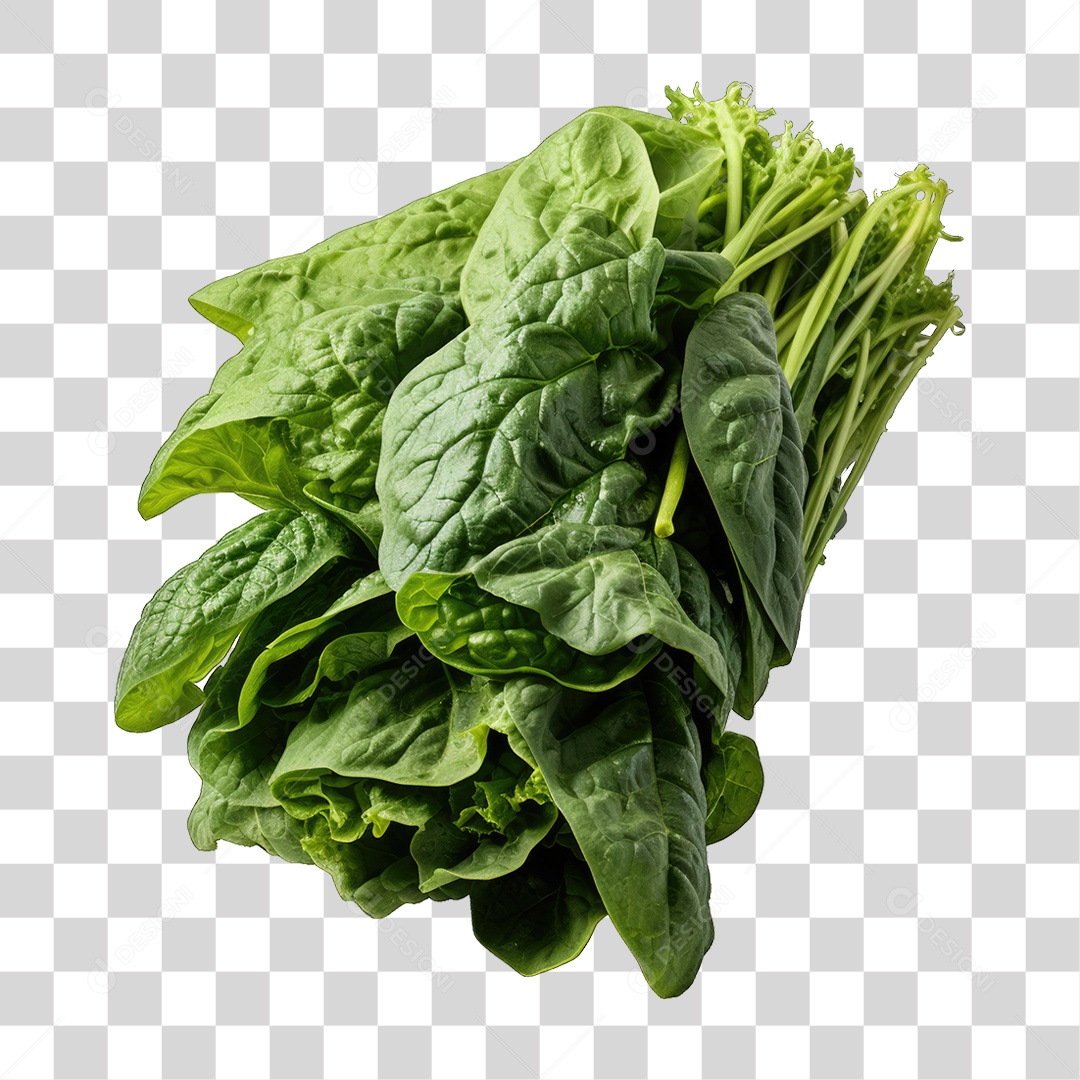 Alimento Folhas Vegetais PNG Transparente