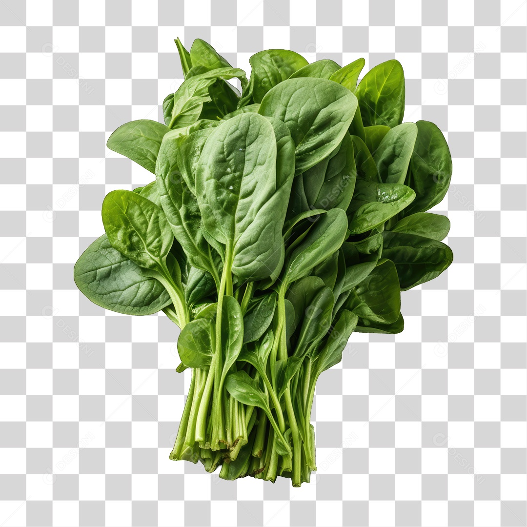 Alimento Folhas Vegetais PNG Transparente