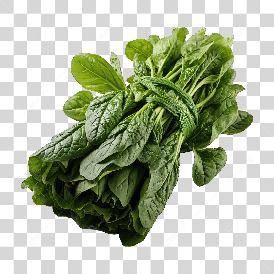 Alimento Folhas Vegetais PNG Transparente