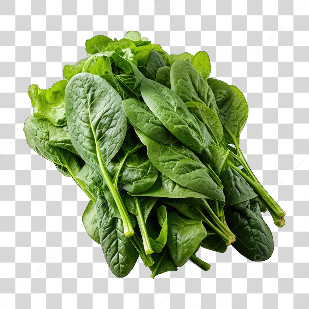 Alimento Folhas Vegetais PNG Transparente