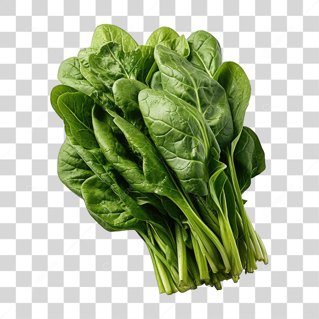 Alimento Folhas Vegetais PNG Transparente