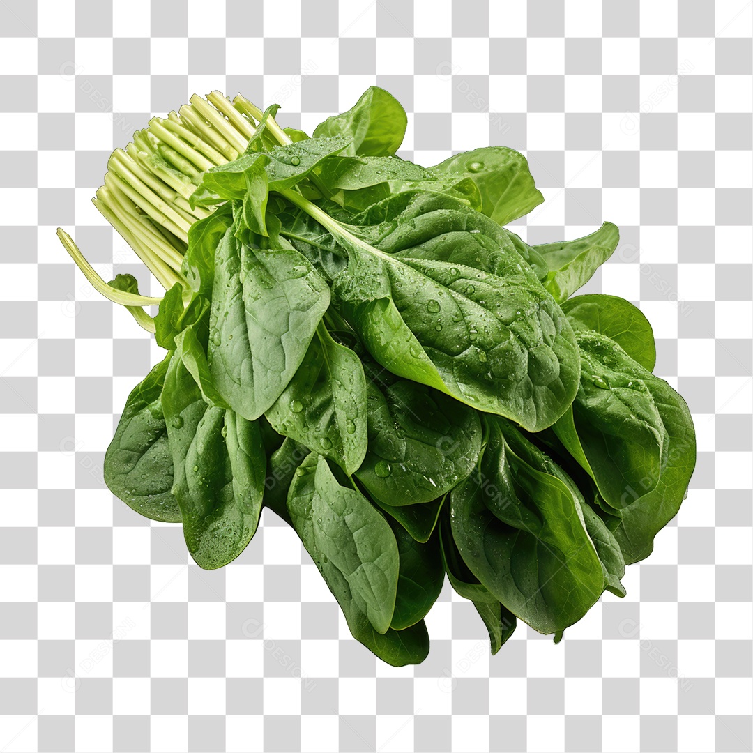 Alimento Folhas Vegetais PNG Transparente