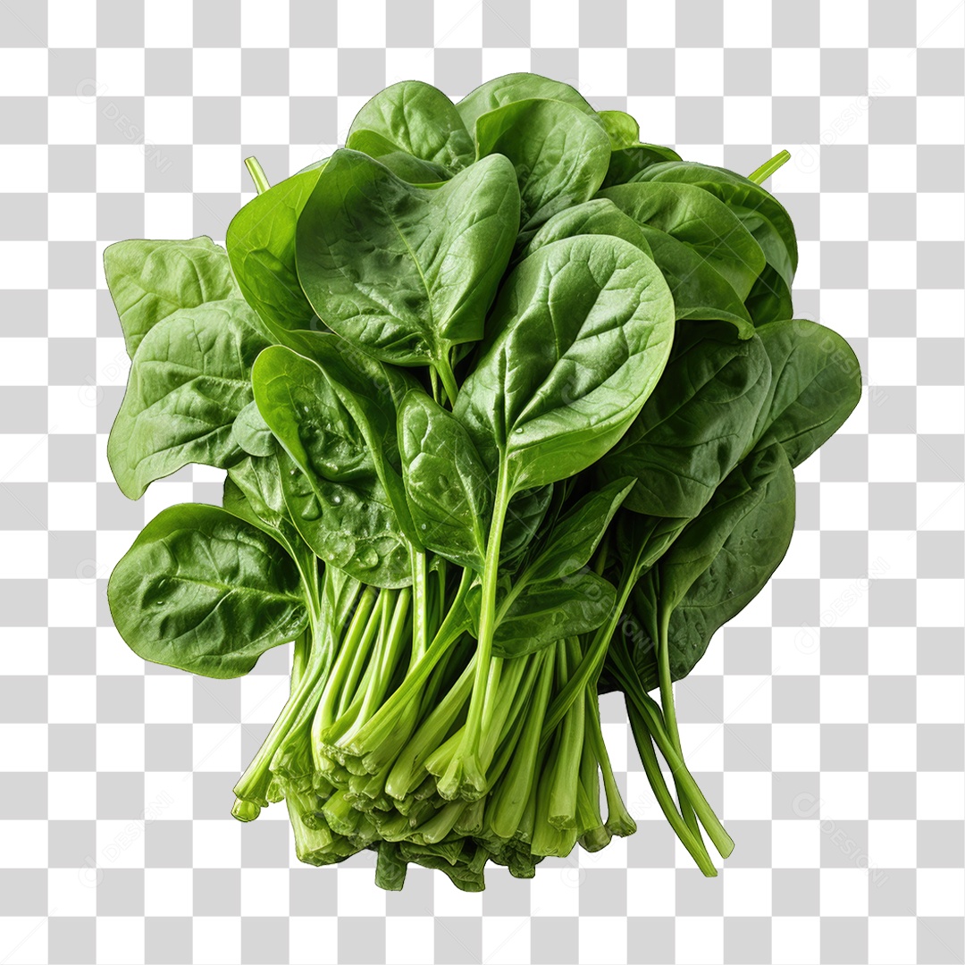 Alimento Folhas Vegetais PNG Transparente