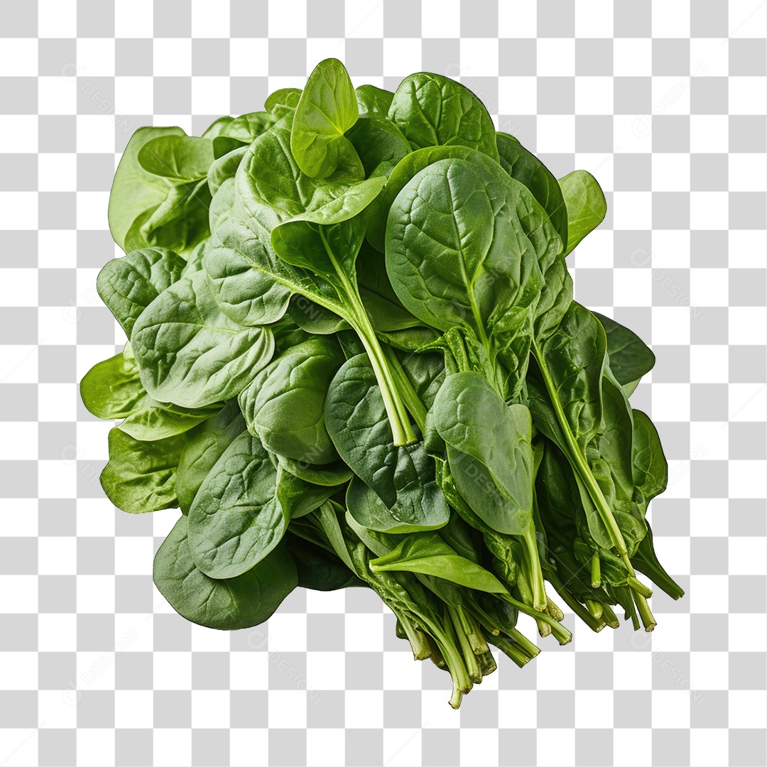 Alimento Folhas Vegetais PNG Transparente