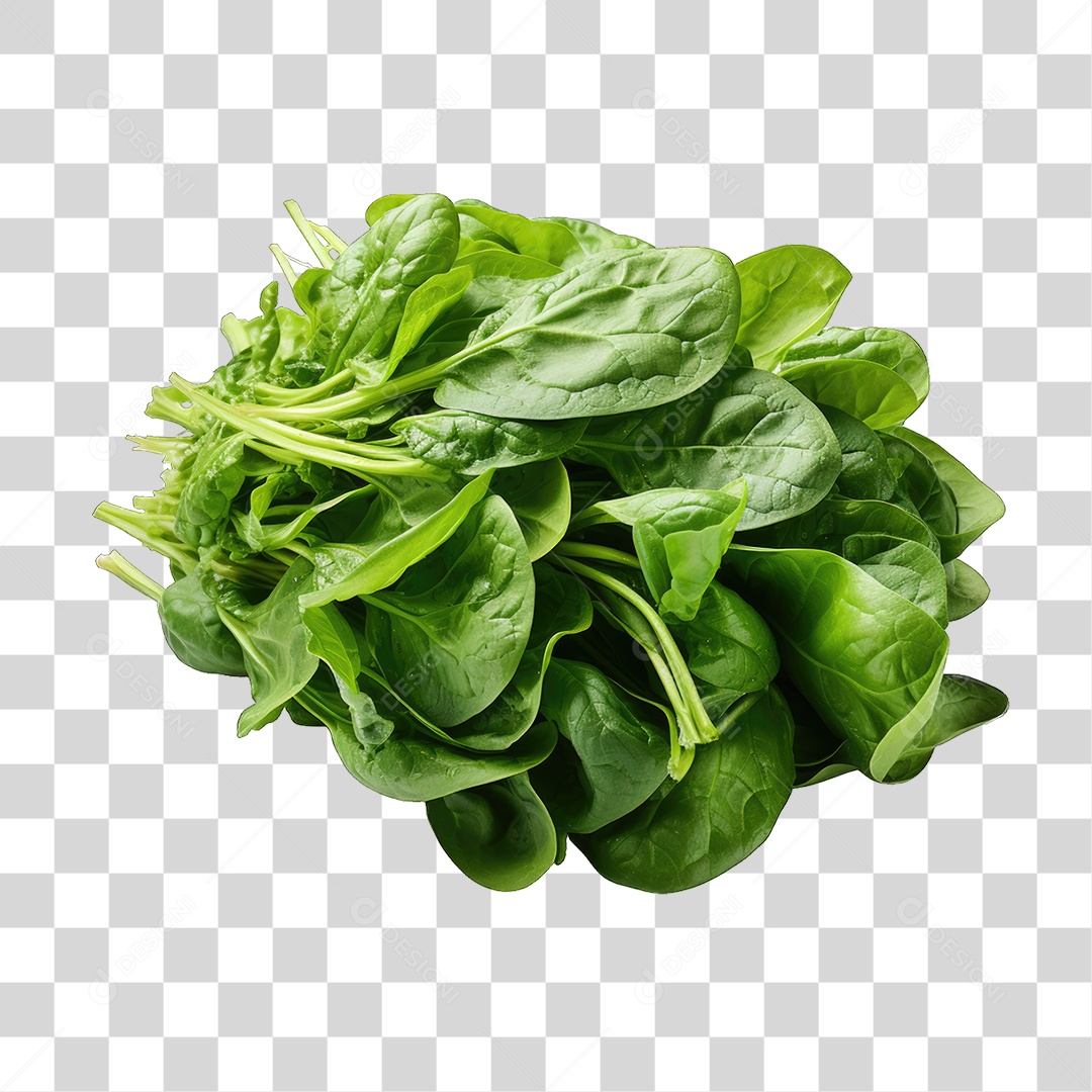 Alimento Folhas Vegetais PNG Transparente