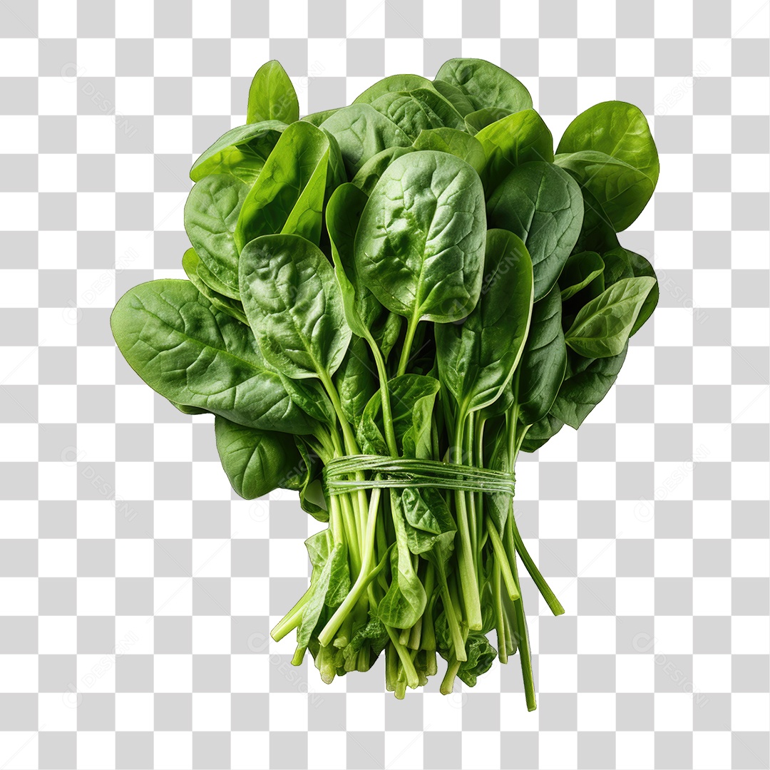 Alimento Folhas Vegetais PNG Transparente