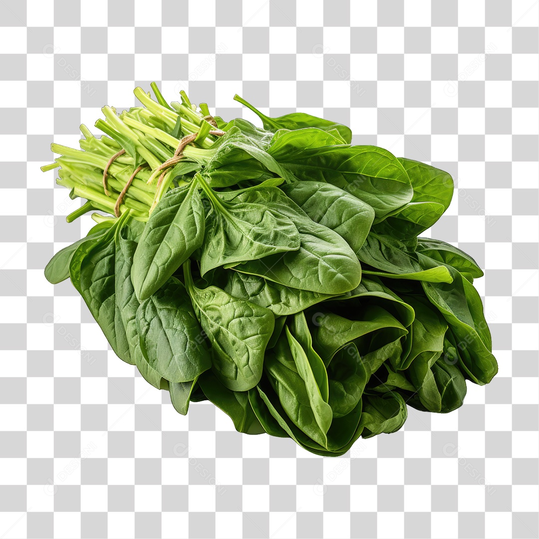 Alimento Folhas Vegetais PNG Transparente