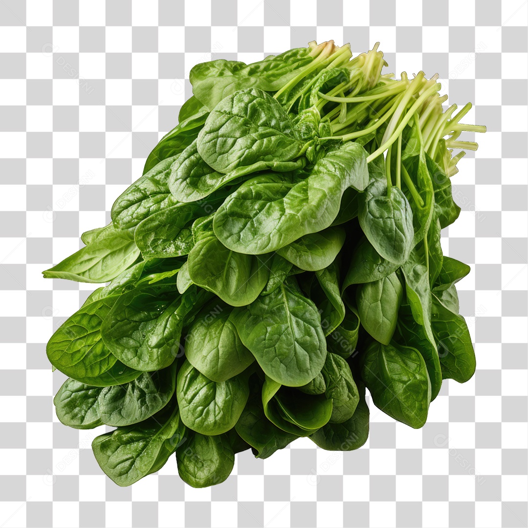 Alimento Folhas Vegetais PNG Transparente