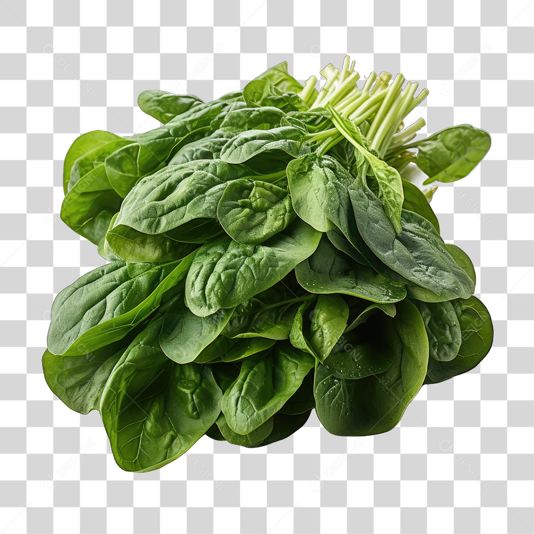 Alimento Folhas Vegetais PNG Transparente