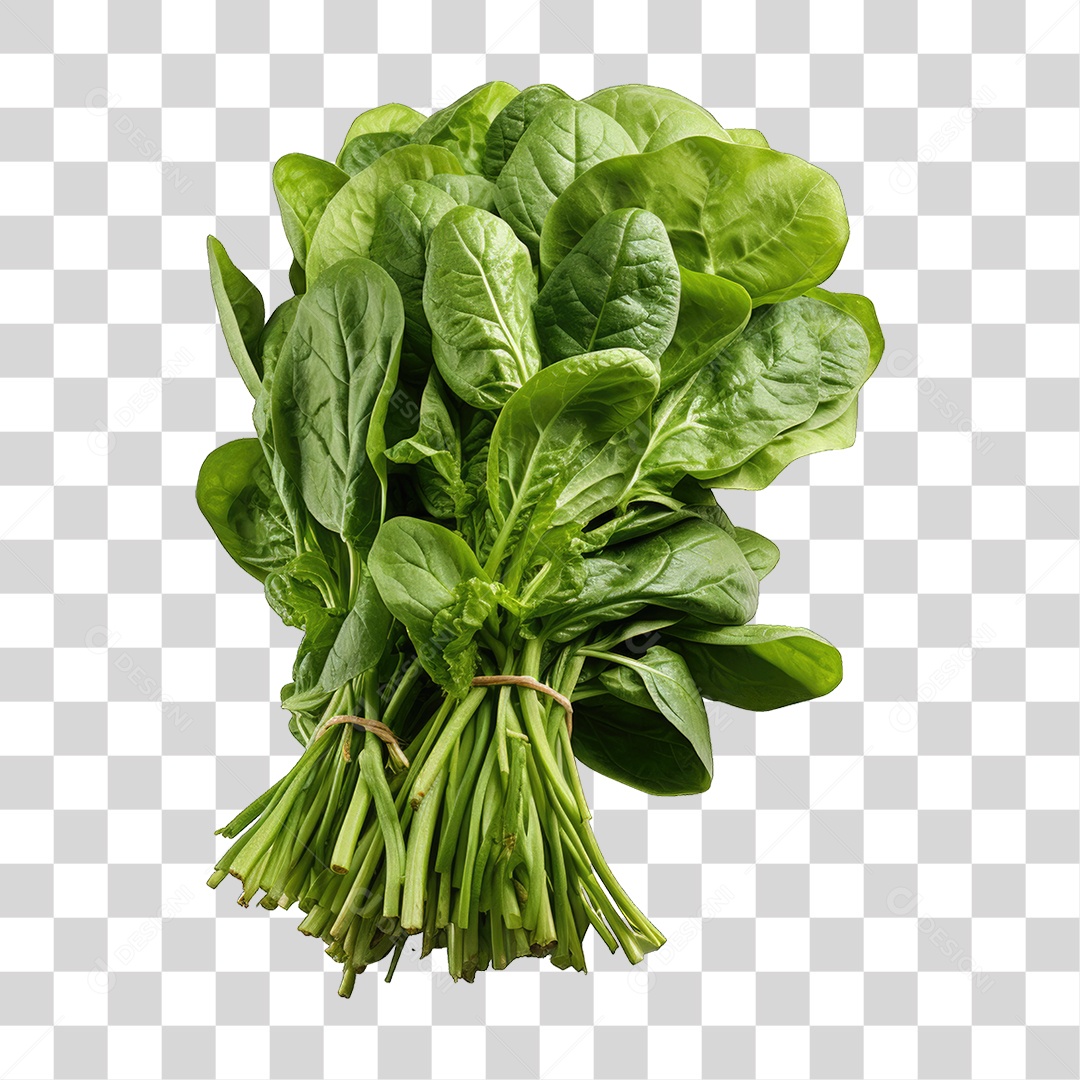 Alimento Folhas Vegetais PNG Transparente