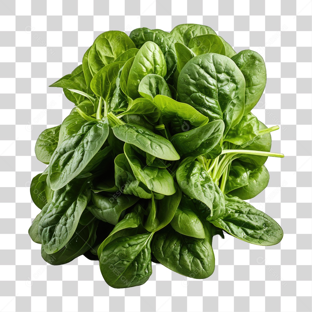 Alimento Folhas Vegetais PNG Transparente