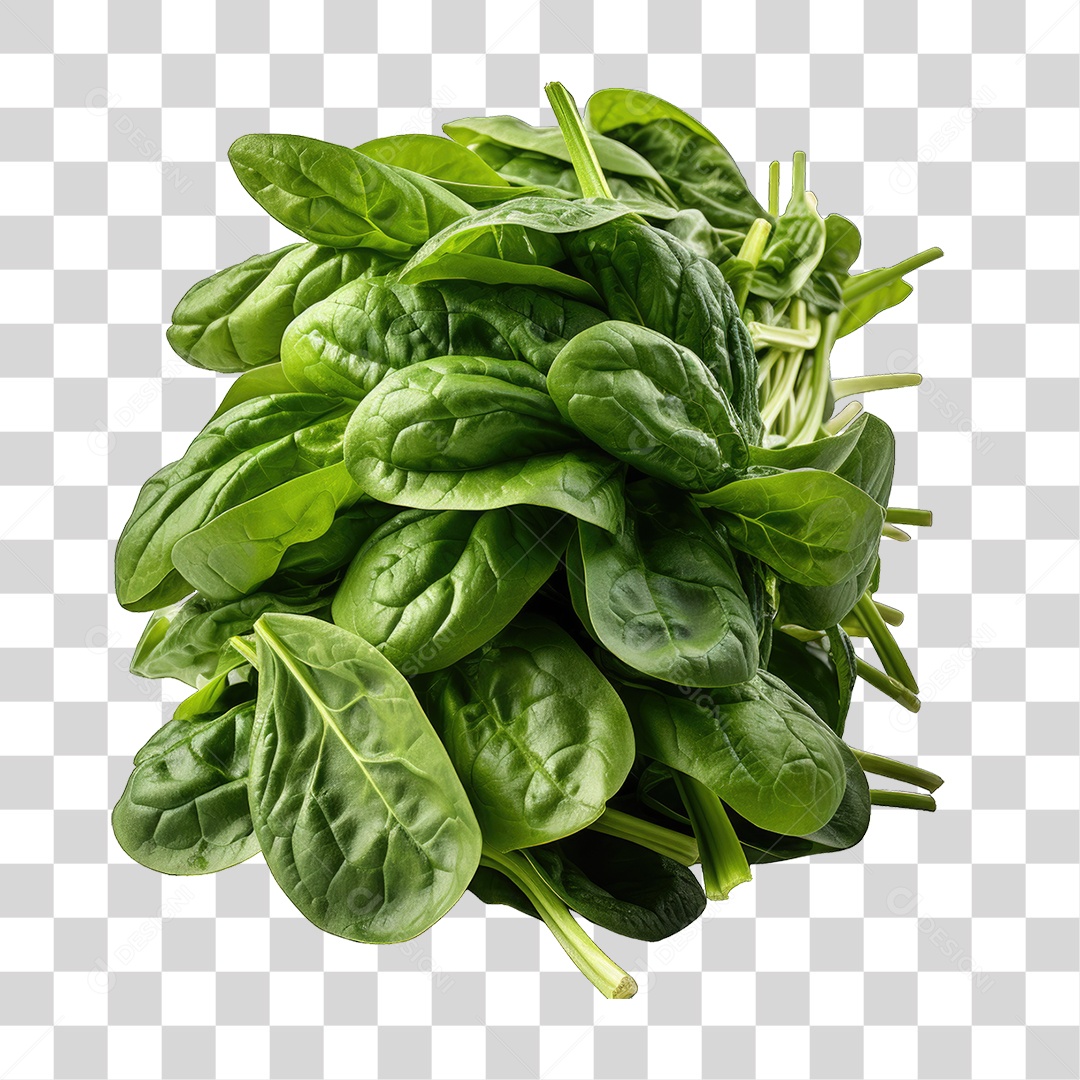 Folhas Vegetais PNG Transparente