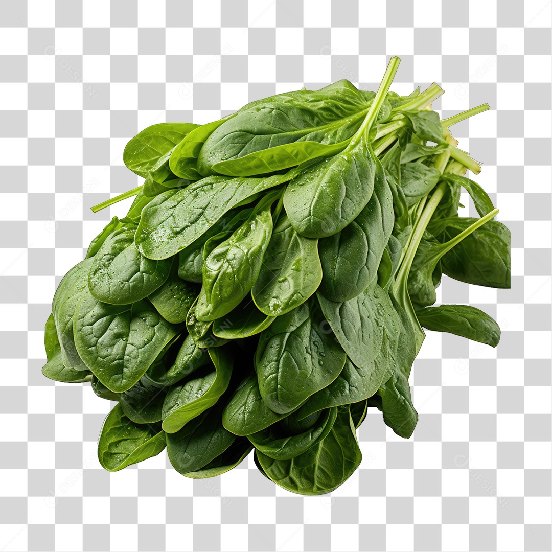 Folhas Vegetais PNG Transparente