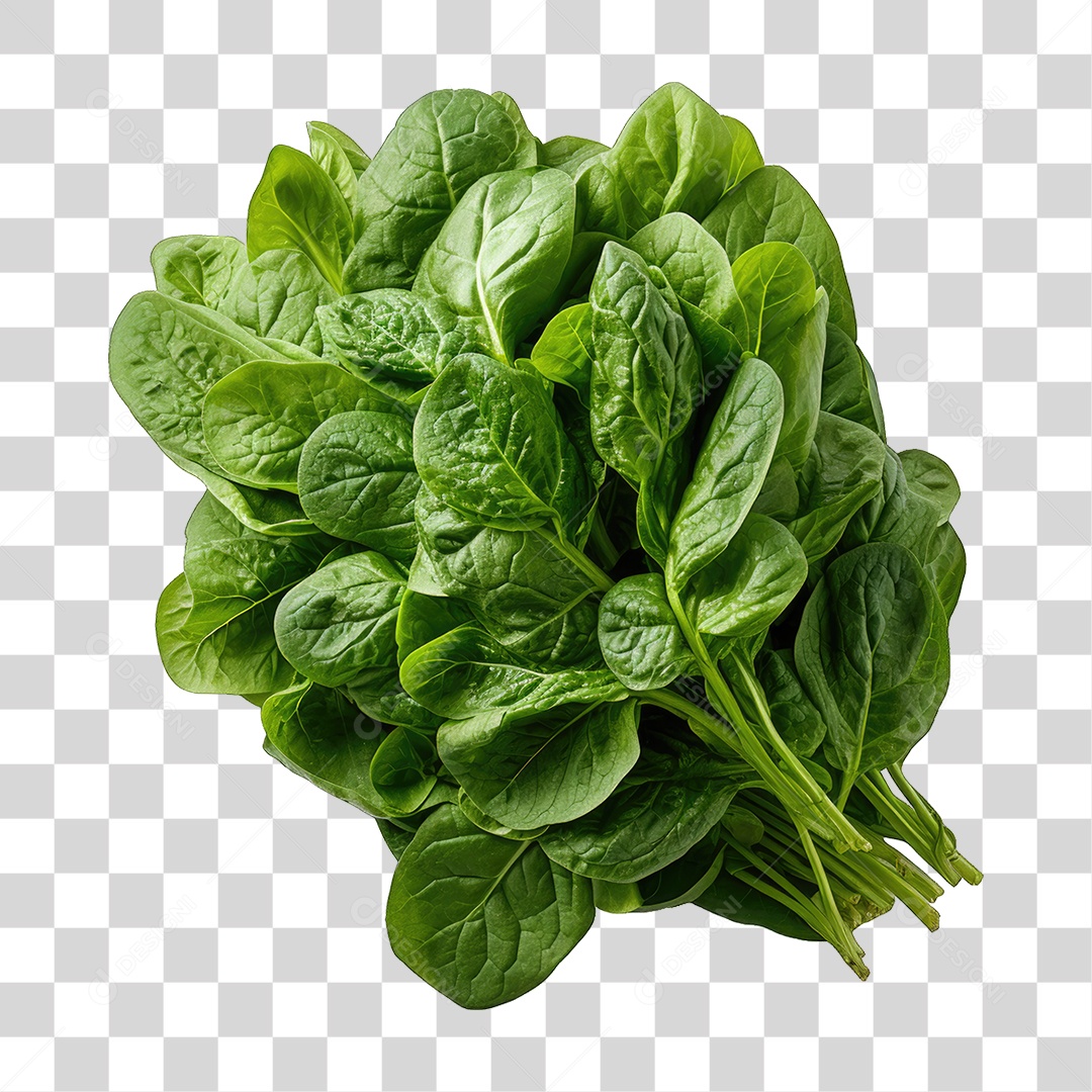 Folhas Vegetais PNG Transparente