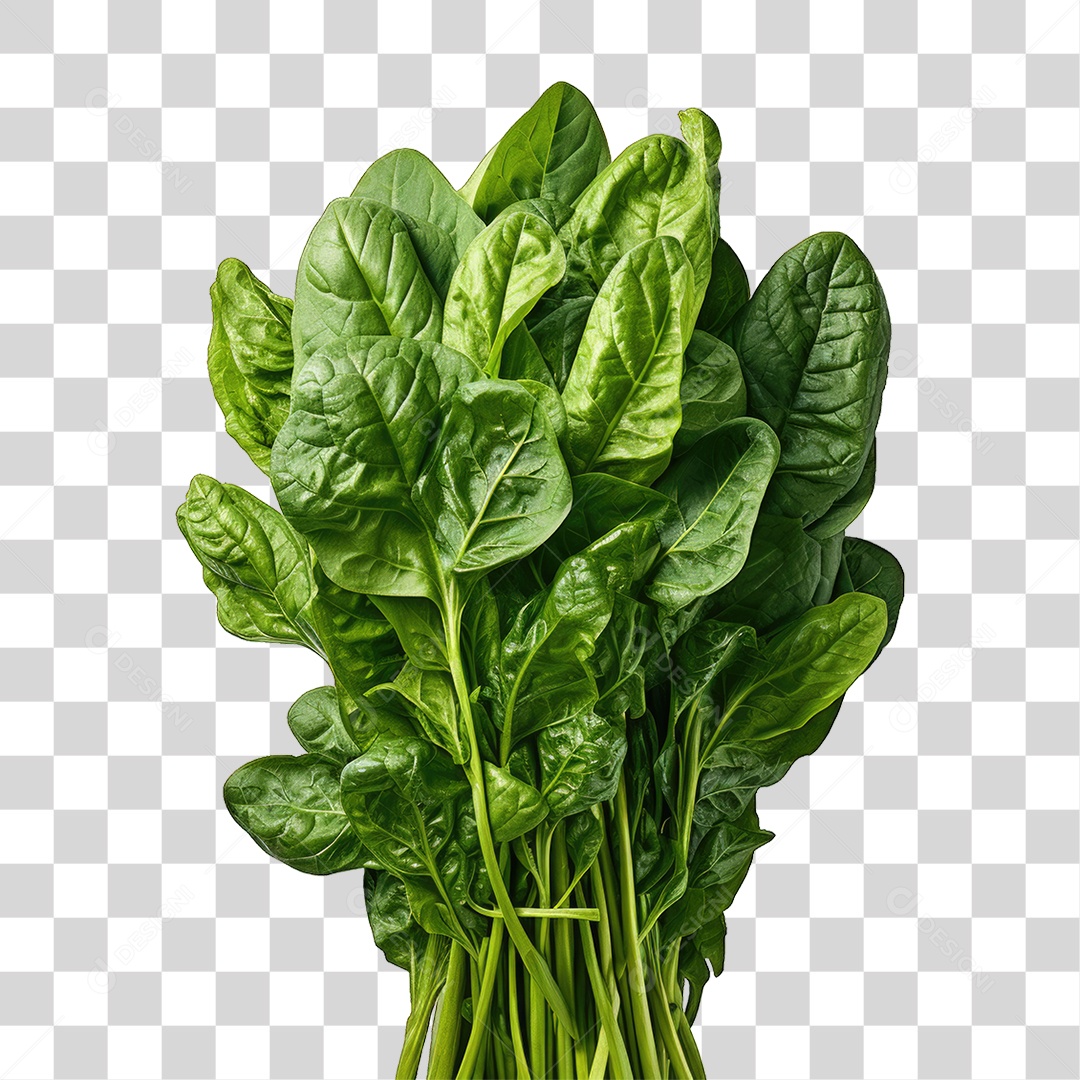 Folhas Vegetais PNG Transparente