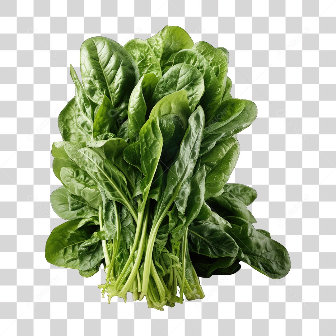 Folhas Vegetais PNG Transparente