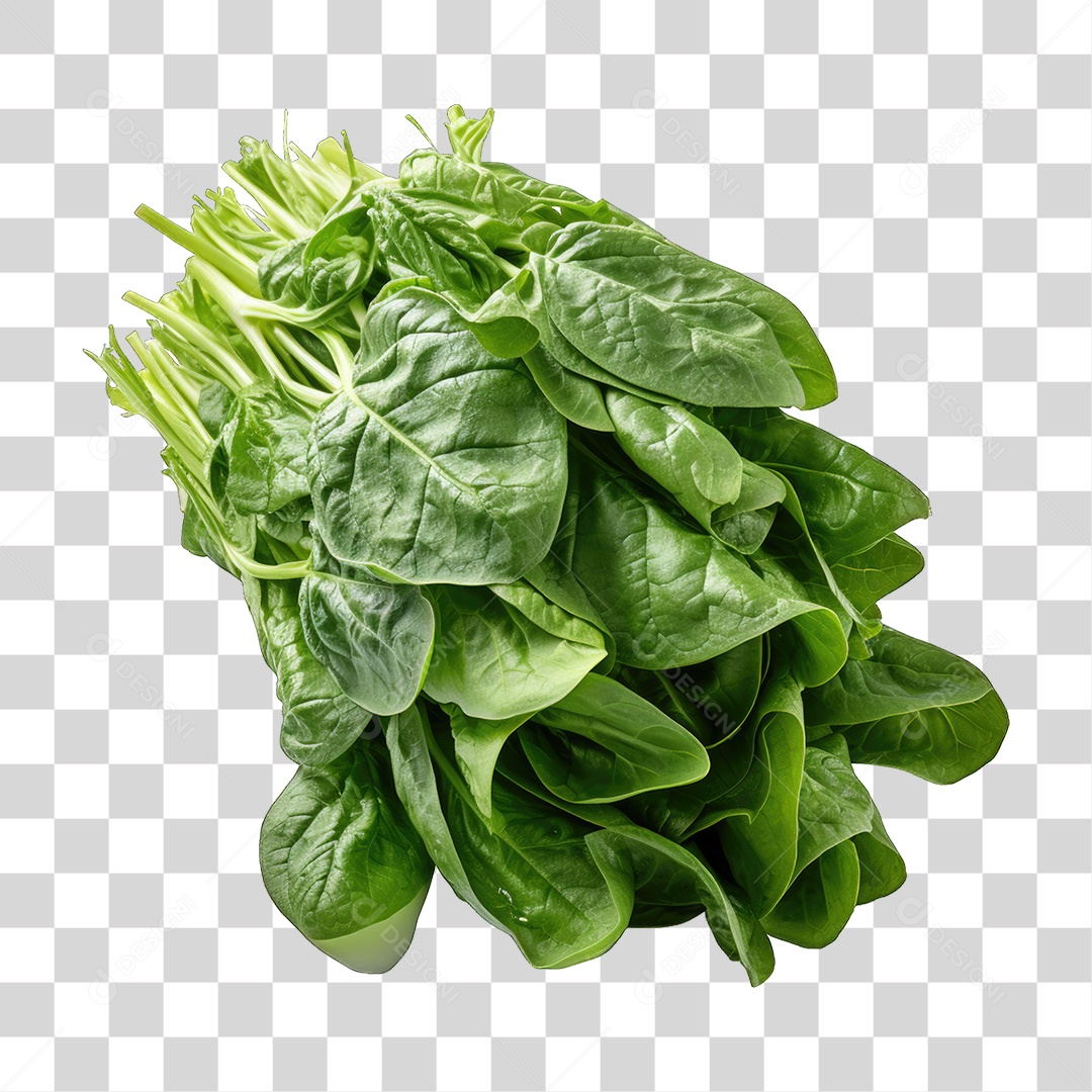 Folhas Vegetais PNG Transparente